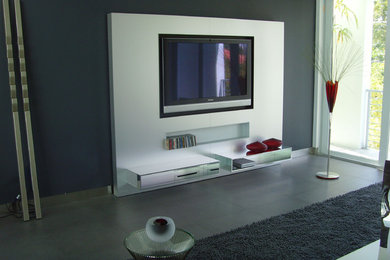 Example of a mid-sized trendy open concept slate floor and gray floor family room design in Miami with gray walls, no fireplace and a media wall