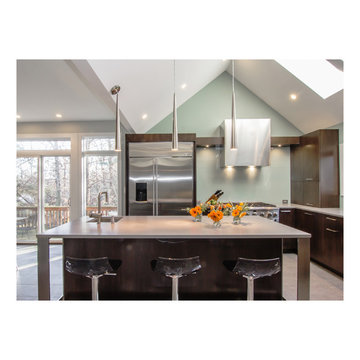 Mid-Century Modern Kitchen, Steel and Espresso