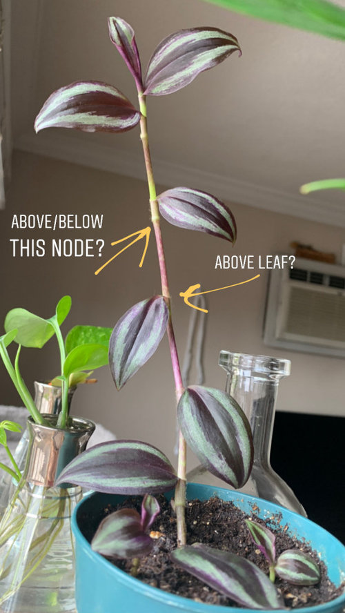 Wandering Jew propagation