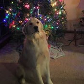 Mary Cavey's photo