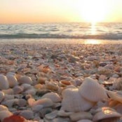 Katherine Micallef's photo