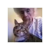 Brenda Alexander-ONeil's photo