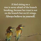 Camille Shaw's photo