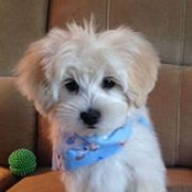 Dianne Edwards's photo