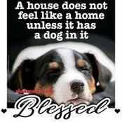Katrina Williams's photo
