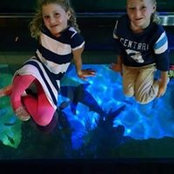 Karen Ryce's photo