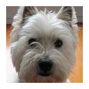 Paul McHugh's photo