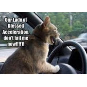 Karla Walling's photo