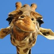 Donna LaDuke's photo