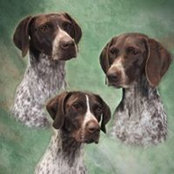 Beverly Quarles's photo