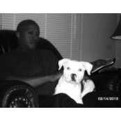 Robert Taylor's photo