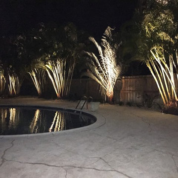 Tropical Pool Landscapes