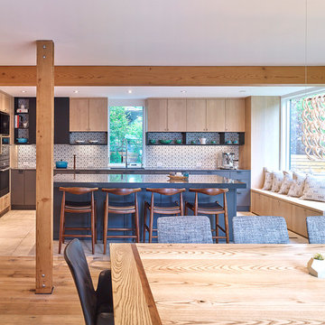 Edmonton Contemporary Remodel