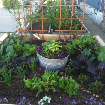 Vegetable & Herb Gardens