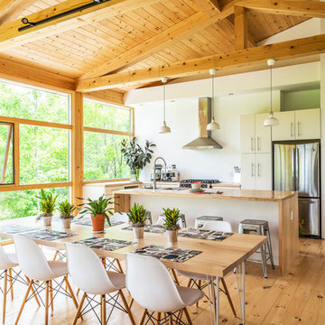 Tree Top Modern