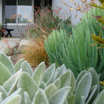 Huntington Beach 2012