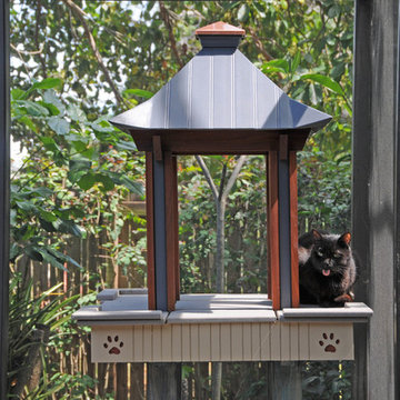 Florida Catio renovation