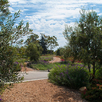 Summerland Cottage