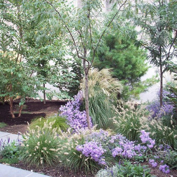 10th Street Forest Garden