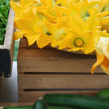 F A R M - Farmers Markets + Roadside Stands