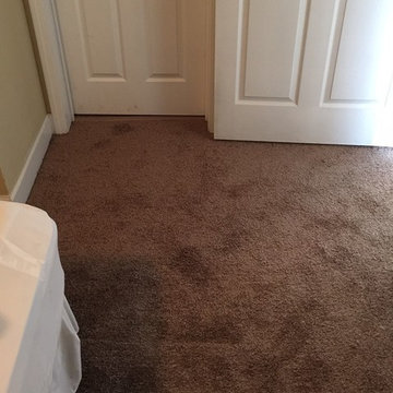 Market Place 8mm EVP - Everyday Oak, Beaulieu El Dorado Carpet and Beadboard Bar