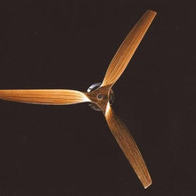 Ceiling fan