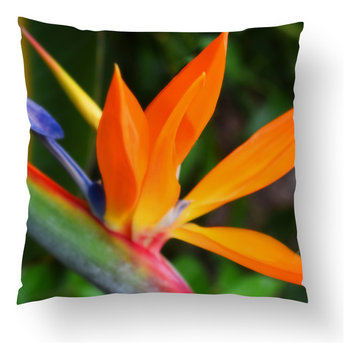 Throw Pillow Covers