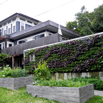House with a Common View