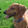 kim_lloyd7324867