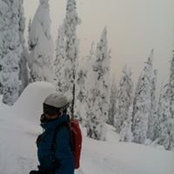 Dianne DeLayo's photo