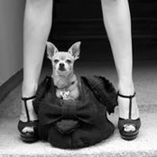 Chris Hathaway's photo