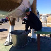 Anne Paape's photo