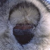 Isabelle Dubois's photo