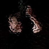 Mauricio Paolini's photo