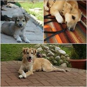 Petra Deinzer's photo