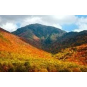 Sherri Trumble-Yates's photo