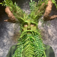 Green Man Tree Service's profile photo