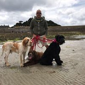 Phil Bown's photo