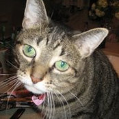 Fran Stern's photo
