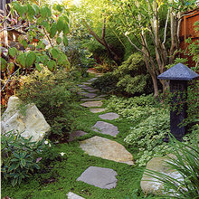 Landscape Ideas