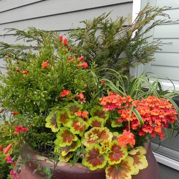 Container Gardens