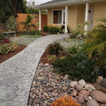 Lawn replacement front landscape