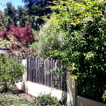 Palo Alto
