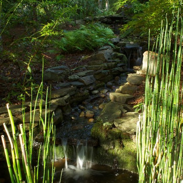 Mountain/Woodland Leisure Experience