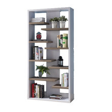 Organization