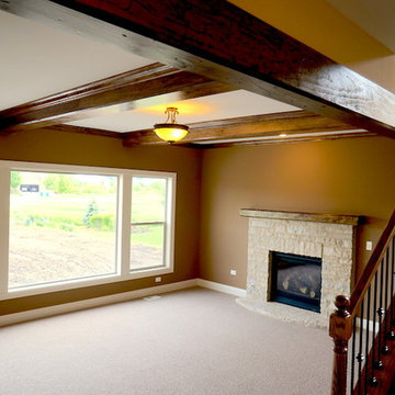 The Dunbarton Modified- White Ash Farm Community of Plainfield, IL