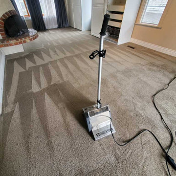 Pet Urine Removal Feces Removal and Treatment in a House Move-out Cleaning Locat