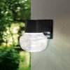 Belby 1 Light LED Wall Sconce Black Clear, 5"