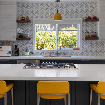 interior Remodel, Cambrian Area