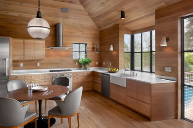 Example of a minimalist kitchen design in San Francisco